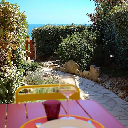 Sole Di Santa Lina *