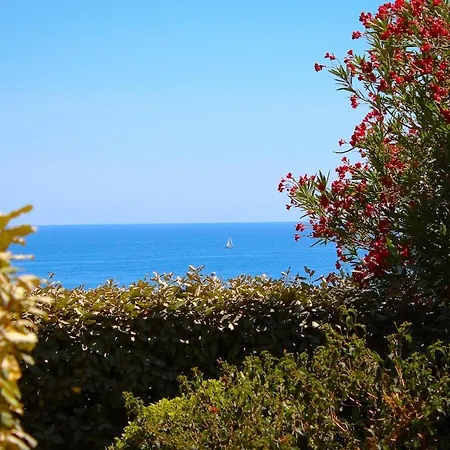 Sole Di Santa Lina
